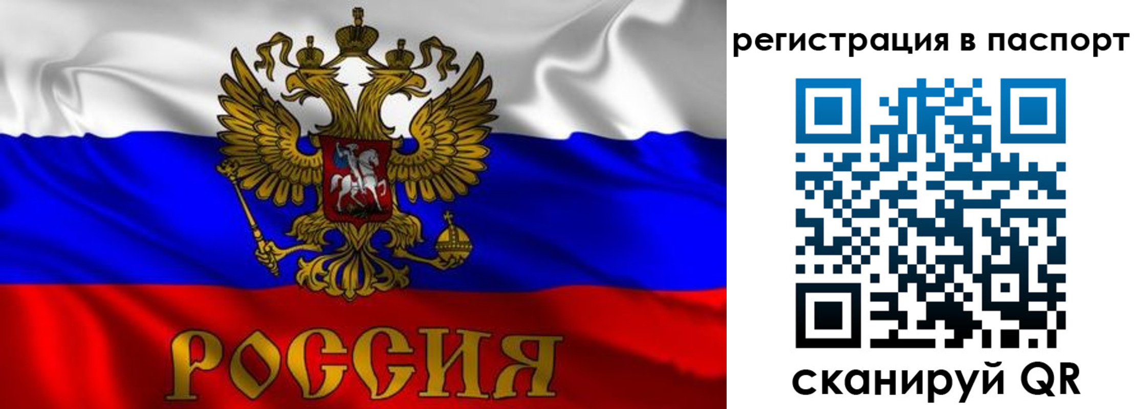 найти адрес прописки в Пушкино